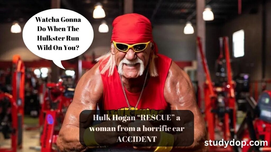 hulk hogan