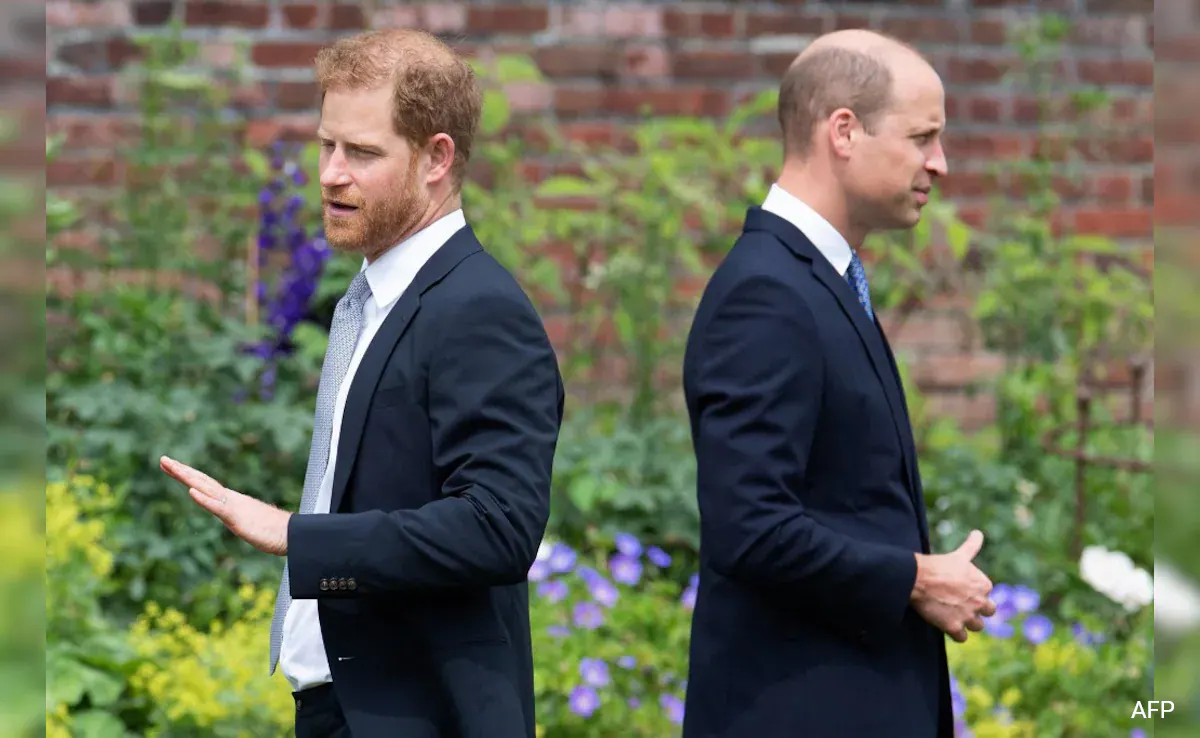 Prince William may be jealous of Prince Harry’s independence and global influence.